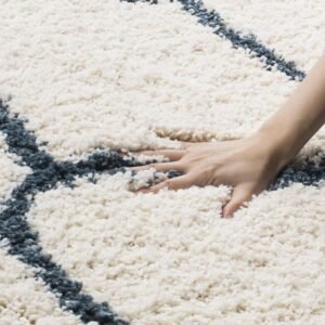 Elegant Blue and White Web Pattern Shaggy Carpet