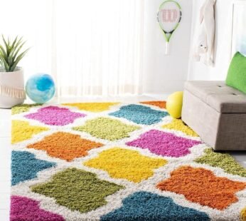 Enhance Your Home with a Colorful Boxed Pattern Design Shaggy Carpet