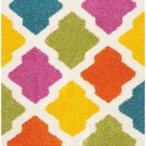 Enhance Your Home with a Colorful Boxed Pattern Design Shaggy Carpet