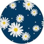 Midnight Daisy Bloom View 3