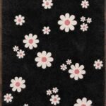 Daiselune View 2