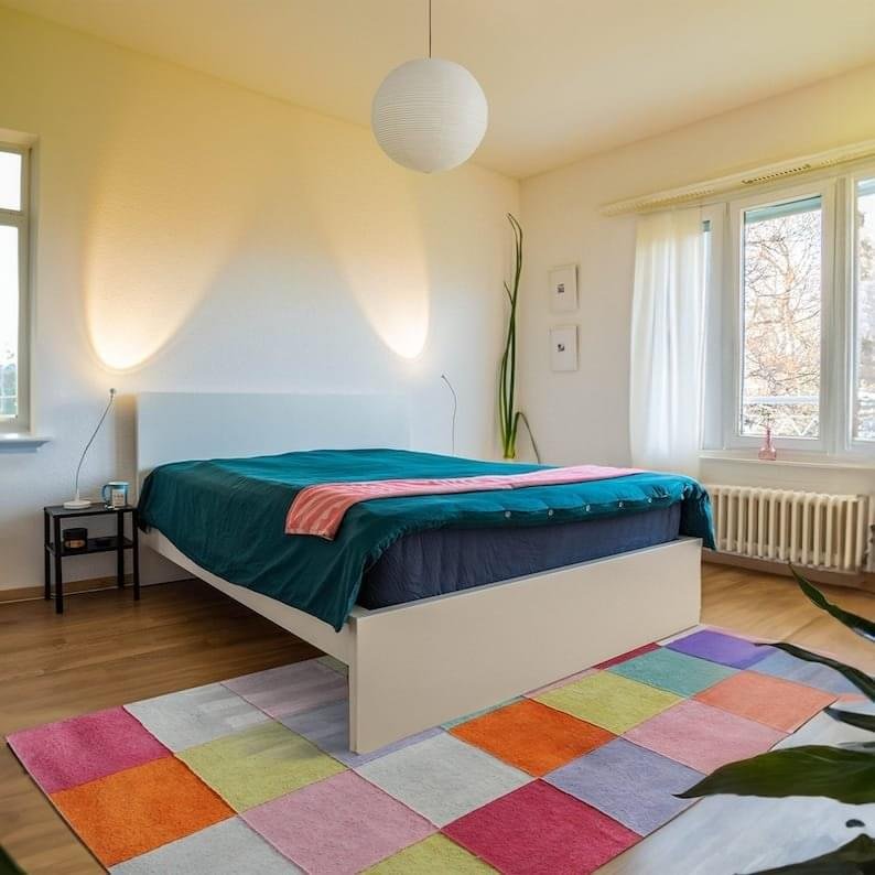 Enhance Your Space with Our Super Quality Multi Color Tufted Carpet